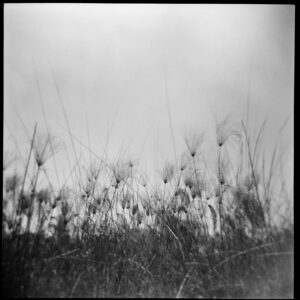 Christopher Lowell Instagram - Kerry’s photos on the Holga