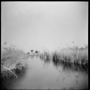 Christopher Lowell Instagram - Kerry’s photos on the Holga