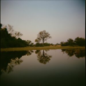Christopher Lowell Instagram - Kerry’s photos on the Holga