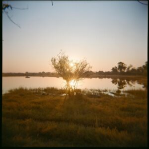 Christopher Lowell Instagram - Kerry’s photos on the Holga