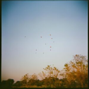 Christopher Lowell Instagram - Kerry’s photos on the Holga