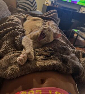 Ciara Miller Instagram - “childless cat lady”