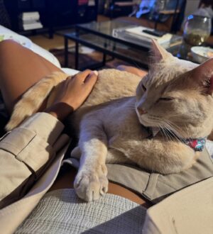 Ciara Miller Instagram - “childless cat lady”