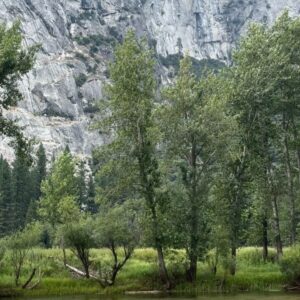 Ciara Riley Wilson Instagram - lotta cool rocks here in yosemite!!!