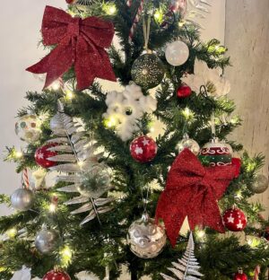 Clarysse Pereira Instagram - Joyeux réveillon de Noël à tous 🎄🎅🏻