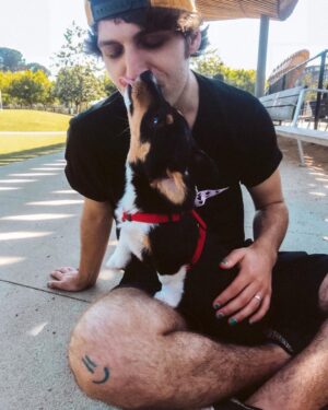 Clayton James Clyne-Brisson Instagram - Calling out every dog right now to be as cute as this little noodle. You can not.