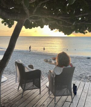 Clémence Botino Instagram - Les Caraïbes 🏝️