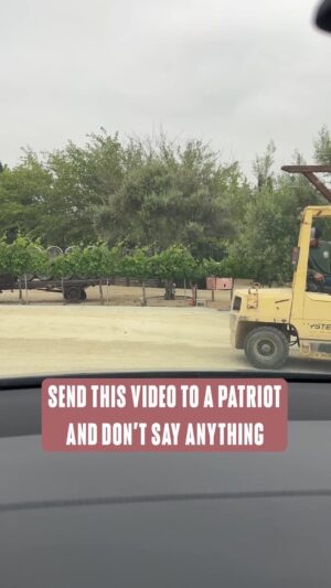 Coffey Anderson Instagram - I don't know okay. 😂 I just thought it was cool so I recorded it.⁠
⁠
My song 4th of July Song is streaming everywhere just in time for America's birthday!! #CountryMusic #NewMusic #4thOfJuly