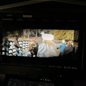 Colby Minifie Instagram - I got the very special chance to shadow our wonderful director @shanasteindirect for episode 5 of @theboystv this season and all I have to say is this 👏 crew 👏 is 👏 the 👏 best. I got a real insight into how this *love sausage* gets made and, yeah I knew the crew was great, but when I got a peak behind the curtain, I just couldn’t believe the energy and thoughtfulness that goes into making this show. Have I gushed enough yet? NO! Every person on set is essential to the making of this wild thing and every one of those people is bringing their A game. And this dedication and work ethic comes from the top down (@erickripke1 I’m looking at you 👀). We actors are so lucky to be held by this team of creators, however crass they are 🫠 episode 5 was written by the talented @thejudalina. Of course our whole writers room is stacked! GET READY FOR THE SEASON FINALE TOMORROW!!!!!