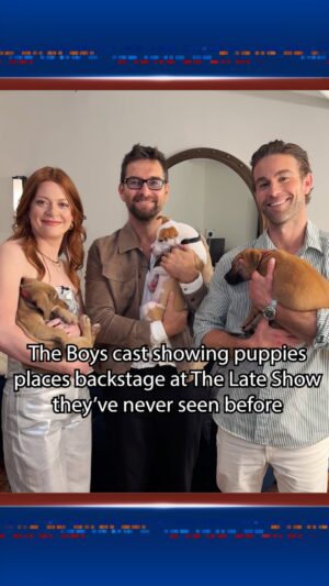 Colby Minifie Instagram - Our friends from @theboystv showed @animalleague puppies around backstage! Thank you @chacecrawford, @colby.minifie and @toni.starr for helping us #GetYourRescueOn.

Watch Rescue Dog Rescue tonight on #Colbert 🐾