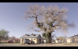 Colin A. Borden Instagram - THE TREE, directed by @annarameyborden

Starting myself and @michelle.v.roe