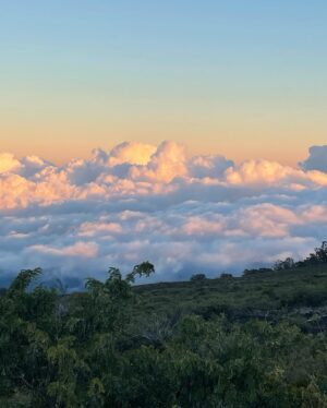 Cory Lee Instagram - Maui - the heart of Hawaii 😍 #maui #mauiwaui #hawaii #islandlife more to come