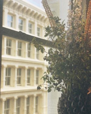 Crystal Reed Instagram - wkenz