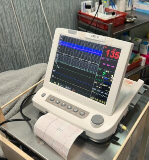 Daler Yusuf Instagram - Assalamualaikum semua, pagi tadi isteri saya Sakina ada bleeding sikit, dan perut dia sakit. Sekarang kami berada di hospital. Baby baru 36 minggu (due date 14hb April). Doktor tengah check. Tolong doakan baby kami di bulan yang mulia ini🤲🏻