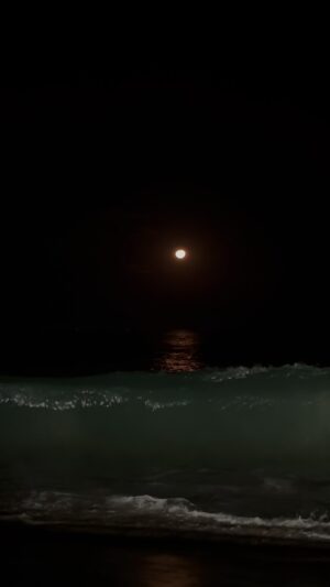 Daniel Erthal Instagram - Praia noturna é o maior barato. (O final…) 😂🏴‍☠️
.
.
.

#praia #noturna #instagram #love #foryou #fyp #vibe #lua #fullmoon #riodejaneiro #copacabana