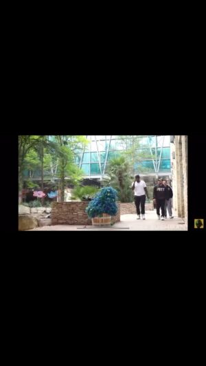 Daniel James Instagram - The San Antonio bushman prank I admitted the guy got me  coach and I was just walking the Riverwalk and he jumped out of nowhere scared the shit out of me @texasbushman