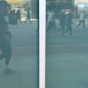 Danielle Panabaker Instagram - A late November diary including:
A Thanksgiving outfit worth documenting, good cocktails with good people, a Turkey Trot for the books, Elliot being the goodest boy, and a quick trip to SF!