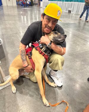 Danny Trejo Instagram - It was an epic weekend at @galaxyconraleigh. With legends @officialmichaeljai @erniehudsonofficial and the wheez @paulyshore! I always love making new friends and getting to spend time with my amazing fans! Thank you #GalaxyConRaleigh ⚔️