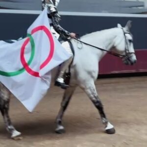 Daphné Bürki Instagram - Un personnage très important pour cette cérémonie d’ouverture de @paris2024 !

La cavalière lancée au galop sur son cheval métallique drapée dans une cape frappée des anneaux olympiques. Elle incarne l’esprit olympique et Sequana : la solidarité, l’excellence, le respect et l’amitié! 

J’ai présenté à @thoma.jolly l’une de nos grandes créatrices française @jeannefriot et l’artisan prodige @gienah.robert ✨
Nous avons travaillé plusieurs semaines ensemble avec @olivierberiotofficial pour créer cet appel à la paix et à la solidarité qui a pris corps dans cette armure 🤍

Cheval métallique créé par @atelier_blam à Nantes. 
@morganesuquart la cavalière de la Seine 

#paris2024