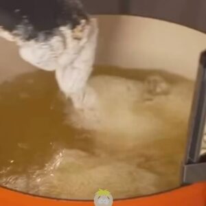 Darnell Ferguson Instagram - No reason anyone can follow this and make some amazing fried chicken lol #superchef #friedchicken #superchefgrudgematch #cooking #itainteasybeingsuper #friedchicken #chickenwings #hungry