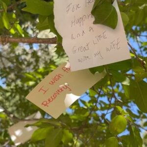 Daron Nefcy Instagram - Had some time between doing radiation and getting my monthly Lupron shot. I went for a little walk to the nearby Arlington gardens. They have a wish tree and I spent a little time reading the wishes. I think it’s easy to wonder “why me? Why did I get cancer?” The tree was a good reminder that everyone is going through something. And a reminder that we should all be kind to each other because you never know what someone else is going through ❤️