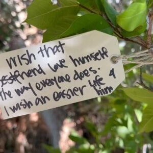Daron Nefcy Instagram - Had some time between doing radiation and getting my monthly Lupron shot. I went for a little walk to the nearby Arlington gardens. They have a wish tree and I spent a little time reading the wishes. I think it’s easy to wonder “why me? Why did I get cancer?” The tree was a good reminder that everyone is going through something. And a reminder that we should all be kind to each other because you never know what someone else is going through ❤️