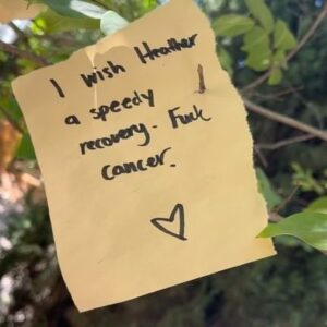 Daron Nefcy Instagram - Had some time between doing radiation and getting my monthly Lupron shot. I went for a little walk to the nearby Arlington gardens. They have a wish tree and I spent a little time reading the wishes. I think it’s easy to wonder “why me? Why did I get cancer?” The tree was a good reminder that everyone is going through something. And a reminder that we should all be kind to each other because you never know what someone else is going through ❤️