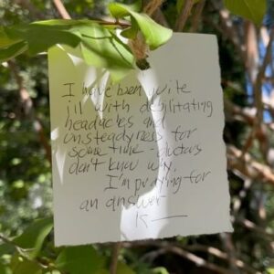 Daron Nefcy Instagram - Had some time between doing radiation and getting my monthly Lupron shot. I went for a little walk to the nearby Arlington gardens. They have a wish tree and I spent a little time reading the wishes. I think it’s easy to wonder “why me? Why did I get cancer?” The tree was a good reminder that everyone is going through something. And a reminder that we should all be kind to each other because you never know what someone else is going through ❤️