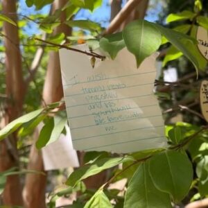 Daron Nefcy Instagram - Had some time between doing radiation and getting my monthly Lupron shot. I went for a little walk to the nearby Arlington gardens. They have a wish tree and I spent a little time reading the wishes. I think it’s easy to wonder “why me? Why did I get cancer?” The tree was a good reminder that everyone is going through something. And a reminder that we should all be kind to each other because you never know what someone else is going through ❤️