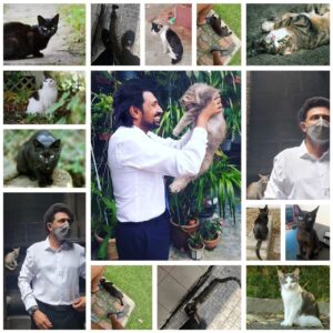 Dato Sri G Gnanaraja Instagram - It's 8th August! Happy International Cat Day to my #MaineCoon cat #Rohan and my black cat #Rahul 

I have always had strange-weird encounters with cats at various different places owned by others and stray cats following me around, keeps meowing at me, purring hard against my foot..marking me with their scent. The most weirdest encounter was inside Madurai Meenakshi Amman Temple in India. While the people were chasing the cat away, it remained by my foot.

A cat will always choose who it wants to be with, we can't choose the cat ! The cat will decide! 
That's how #Rohan & #Rahul came into my life. 

Perhaps one reason I am always fascinated by cats is because it can contain so much independence, dignity, and freedom of spirit. Unlike the dog, the cat's personality is never bet on a human's. The cat demands acceptance on its own terms 🐈 😎

*Show your appreciation to that moggy in your life..buy a pack of cat food at the shops to donate to your local adopt centre as a little appreciation TODAY for international cat day to our four legged pals!

#CatsAreConnoisseursOfComfort #CatLover #ProtectCat #SaveCat
#cats_of_instagram #cats_of_world #CatsDay #InternationalCatDay2024