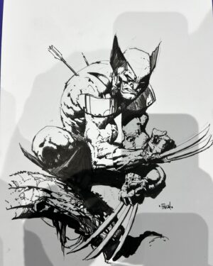 David Finch Instagram - Some drawings from sdcc this past week. Lots of Wolverine!  These are a bunch of quicker ones done at the table.