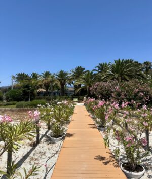 Dayane Mello Instagram - out of town 🌺🌱🥥 #sardegna