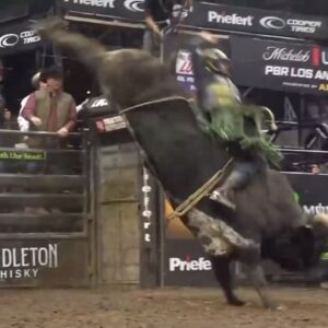 Daylon Swearingen Instagram - Blessed to be 84 on Sky’s The Limit at the UTB in Los Angeles, CA! @pbr 
@monsterenergy @championpowereq @wrangler @americanhatco @totalfeeds @pneudart @rafterpchaps @bruntworkwear @mccoysbuildingsupply @lvcordasamericanas @baton_car_truck 
•
•
#pbr #carolinacowboys #thecowboyway #bullriding #bullrider #cowboy