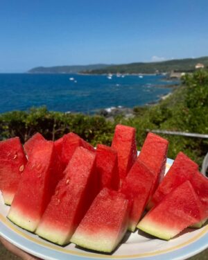 Debi Mazar Instagram - Buon Ferragosto ❣️ 
Thankyou everyone for your wonderful birthday messages! 
Made me so happy! 
#Holiday #Mare #Celebration #Family #Friends
Grazie to @patriziobp & Paiyawee for having us ❣️💋