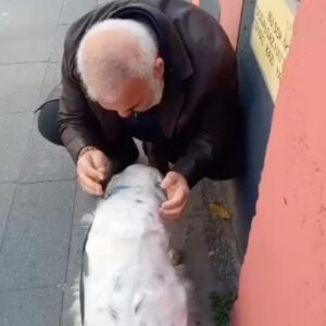 Deniz Oral Instagram - Özlemiş beni MAYA