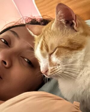 Dennis Adishwara Instagram - Ritual bangun tidur :
Setiap pagi olahraga ❌
Setiap pagi menyerap sari-sari kegemasan ✅

Ya, mereka adalah petugas alarm manual organik.

#cats #kochengoren #kucing #catsofinstagram