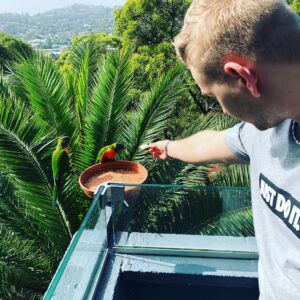 Dimitri van den Bergh Instagram - Feeding birds in the early morning #Australia