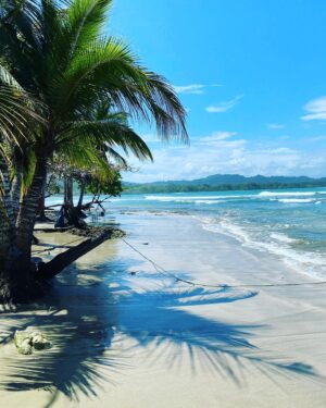 Dionne Stax Instagram - Pura Vida 🫶🏼