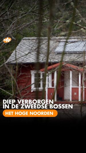Dionne Stax Instagram - 🌲 Anne en Martijn wonen diep verborgen in de Zweedse bossen, ver van een doorgaande weg, in Långserud. Dionne Stax zoekt ze op. Zou jij zo afgelegen kunnen wonen?

 

📺 Het Hoge Noorden (mét audiodescriptie), maandag 27 maart om 20.30 uur op NPO 1.
#OmroepMAX #HetHogeNoorden #Scandinavië