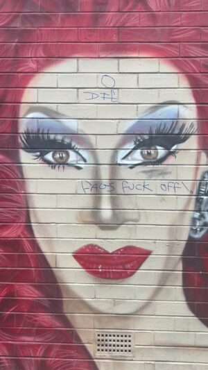 Divina De Campo Instagram - We still live in a world where people think this is ok. I’m so disappointed by the people in power who have given credence to those who do this and those who hate us. 

We still need pride more than ever. 

@terrygoldmanc had said it had been written on but I hadn’t realised this was what was written on it. 

I’ll get it sorted so we don’t have this sort of stuff written about us in the village. We’re not going anywhere!