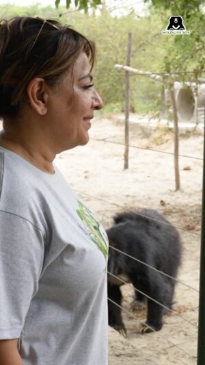 Divya Seth Shah Instagram - During her visit to the Wildlife SOS centres in Agra, Divya Seth Shah, the critically acclaimed actor, also got a chance to visit Asia’s largest rescue facility for sloth bears,  the Agra Bear Rescue Facility (ABRF).

From watching documentaries about how these sloth bears were forced to dance on the streets for entertainment, to observing them in person and seeing how they have flourished at the centre, her visit concluded after the full tour of the centre as well as bird-watching on the Yamuna river! 

Be a part of her experience and watch this video.💚

#WildlifeSOS #Wildlifeconservation #slothbears #rescuedslothbears #ursines #rescuedanimals