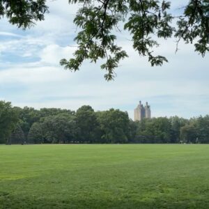 Do Sang-woo Instagram - Central Park 🌳🏃🏻‍♂️