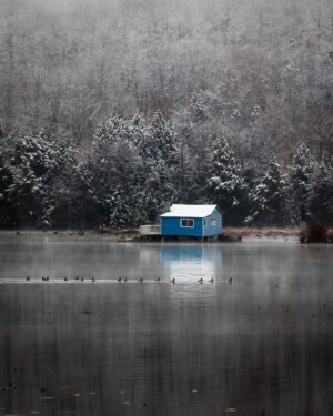 Dominic Arpin Instagram - L’automne qui résiste pendant que l’hiver s’insinue tranquillement dans le décor. Deux saisons qui cohabitent pour encore quelques semaines en combinant leur charme respectif. C’est beau!!! 🤩