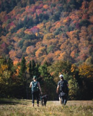 Dominic Arpin Instagram - La flambée des couleurs bat actuellement son plein au Mont Orford. Pour l’occasion, la montagne s’est drapée dans les orangées, les jaunes, les rouges et les pourpres. C’est difficile de dire en mots à quel point c’est beau!!! Je vous laisse juger avec ces quelques photos prises hier et aujourd’hui! 🎨