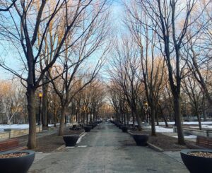 Dominique Provost-Chalkley Instagram - Cold, but beautiful. ☀️
Merci Montréal 💙