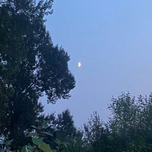 Dominique Provost-Chalkley Instagram - 🌙 New Cycles. 
@desireedawsonmusic #stwhealing #stwspirituality #stwcreativity 🧡🙏