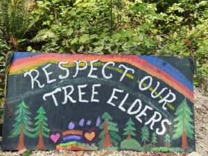 Dominique Provost-Chalkley Instagram - @fairycreekblockade 🌳💚#STWCreativity #STWHealing #STWActivism #STWJustice