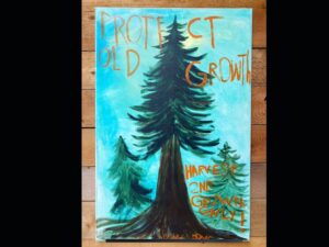 Dominique Provost-Chalkley Instagram - @fairycreekblockade 🌳💚#STWCreativity #STWHealing #STWActivism #STWJustice