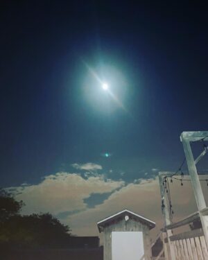 Dominique Provost-Chalkley Instagram - 🦅 🛹 🌝 Happy Full Moon in Aries ♈️🔥 #stwcreate #skate #💥
