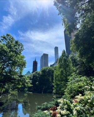 Domino Santantonio Instagram - JUNE 🫶🏼☀️🌳🍕🥁💙🏙️✨